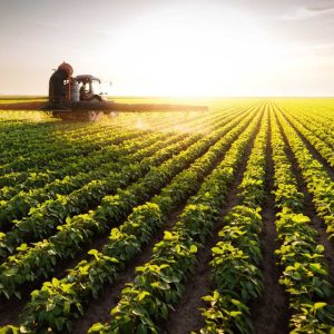 Você sabe o que são Sistemas Agroindustriais?
