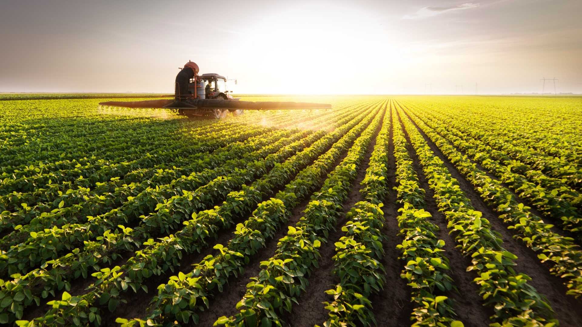 Você sabe o que são Sistemas Agroindustriais? - IBDA